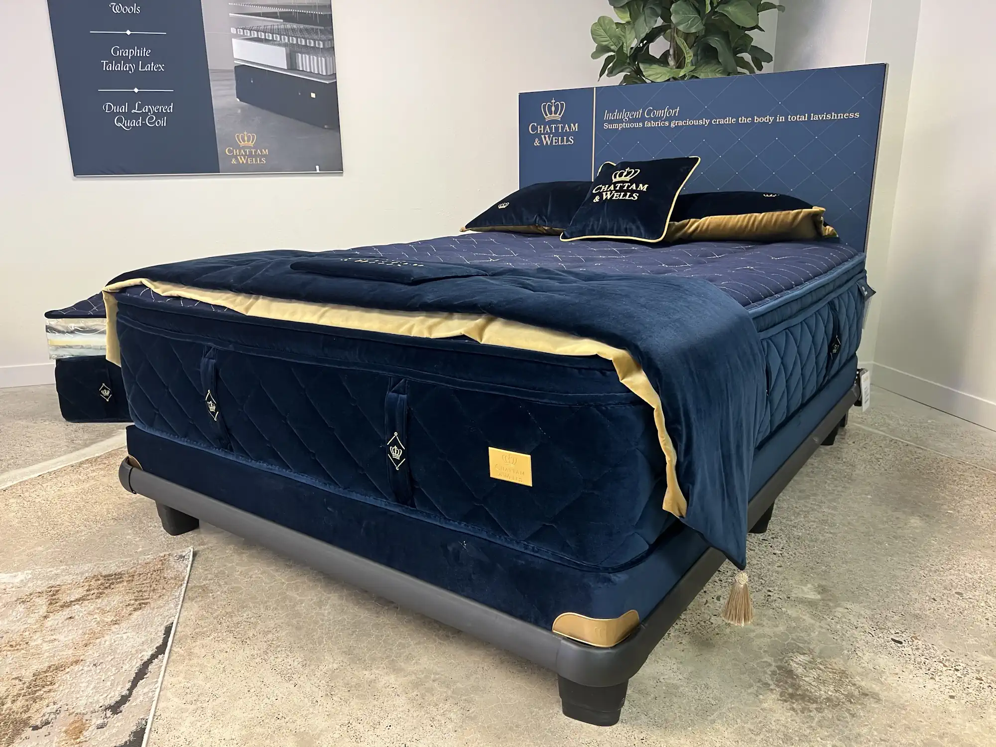 Embrace 360 @ Lacks Furniture