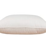 Naturepedic Down Pillow with Organic Cotton Fabric